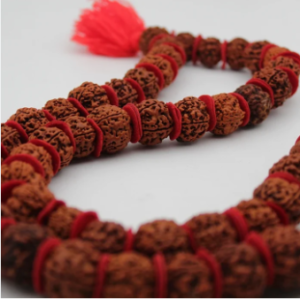Alternative view of Natural rudraksha 5 mukhi 108 beads daana jaap mala