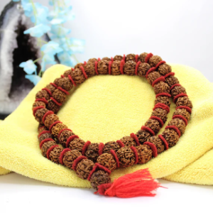 Natural rudraksha 5 mukhi 108 beads daana jaap mala