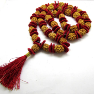 Natural and certified 3 mukhi 108 beads rudraksha mala