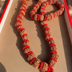 Natural and certifed 7 mukhi 108 beads rudraksha mala