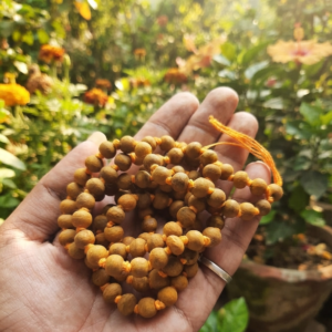 Alternative view of Natural and good quality haldi beads jaap mala