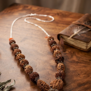 Certified 1-10 Face Rudraksha included gauri shankar and ganesh rudraksha Mala for Complete Spiritual Healing