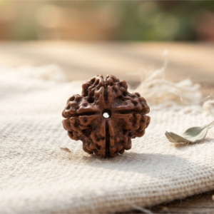 Alternative view of Natural and certified good quality 4 mukhi rudraksha