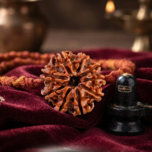 Alternative view of Natural and certified & good quality 9 mukhi rudraksha